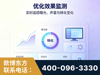 虎林-优化效果监测