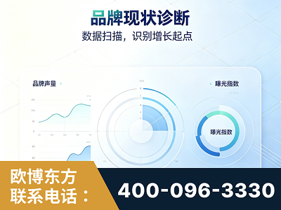 虎林-品牌现状诊断